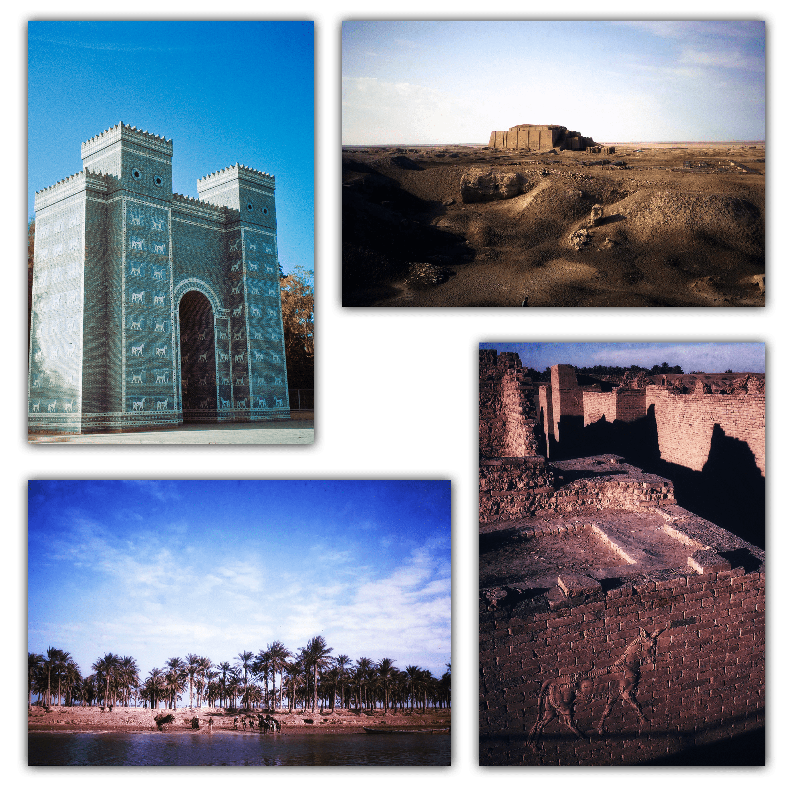 ミュージアムショップ 訪れる 古代オリエント博物館